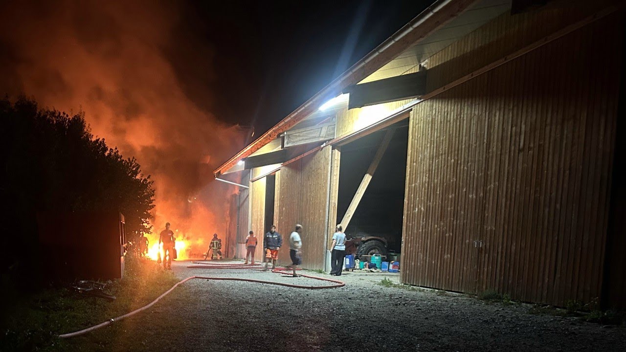 Bericht TeleM1 Brand Traktor Rütihof 19 08 2025 mp4