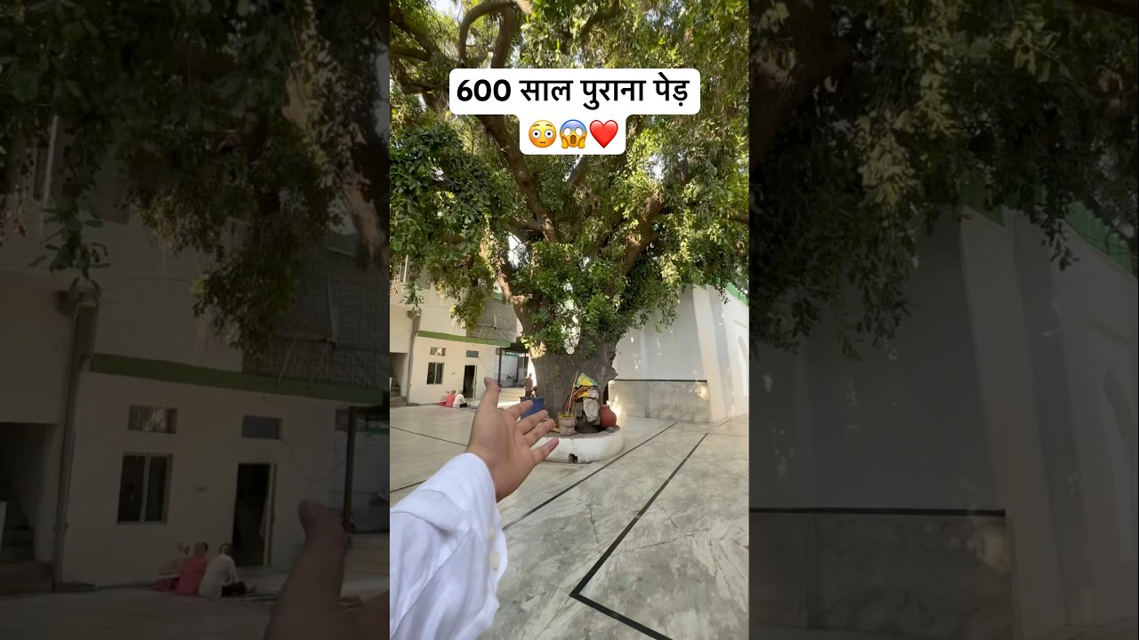 Hazrat Nasiruddin Chirag Delhi ❤️😳 #shortvideo #minivlog #shortsfeed