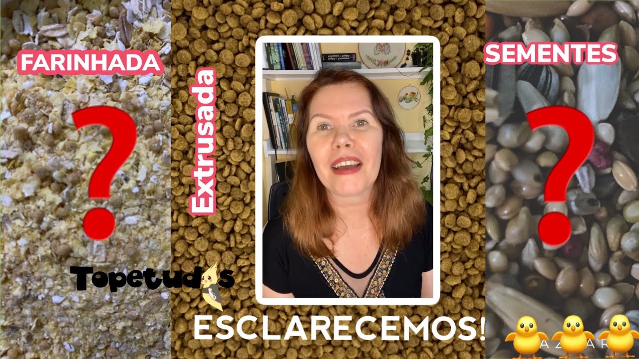 EXTRUSADA, MIX DE SEMENTES, FARINHADA, GERMINEX - QUANDO OFERECER?