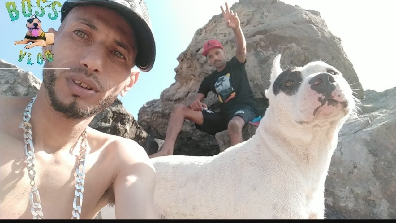 احسن تبحر مع بوس