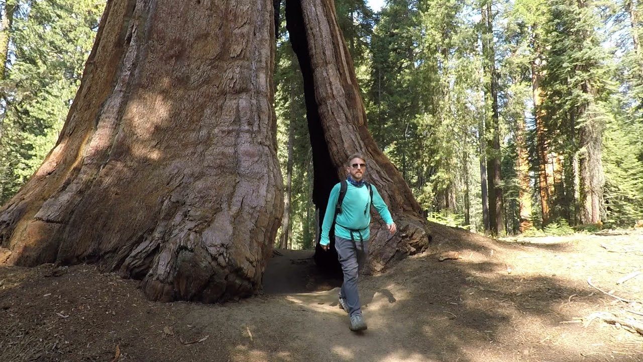 Hiking Sequoia National Park