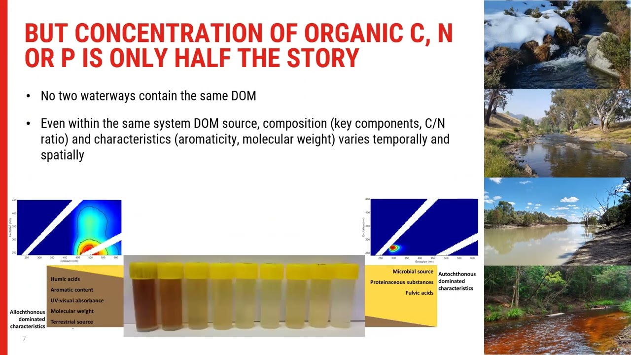 Role of dissolved organic matter in freshwater ecosystems