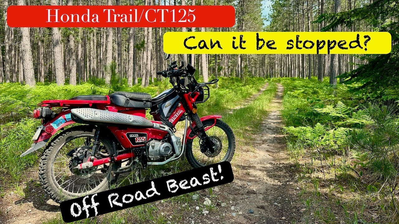 Honda Trail/CT125 — зверь для лесных троп!