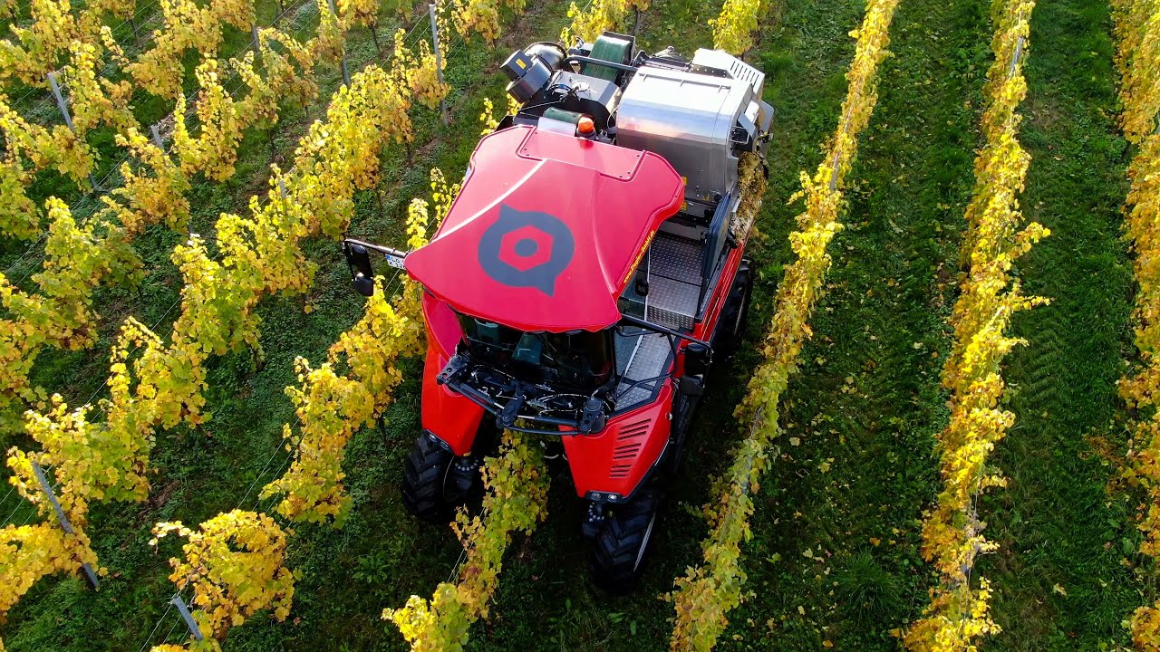Weinlese 2022  | 2x Ero Grapeliner | Hank & Scherer Weinbauservice