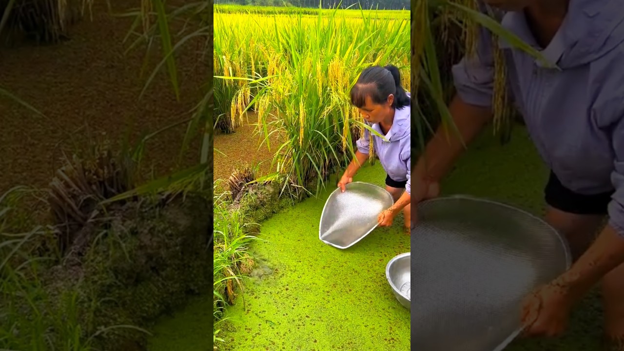 Most satisfying fishing moment ever 😍🎣🔥 #viralvideo #fishinglife