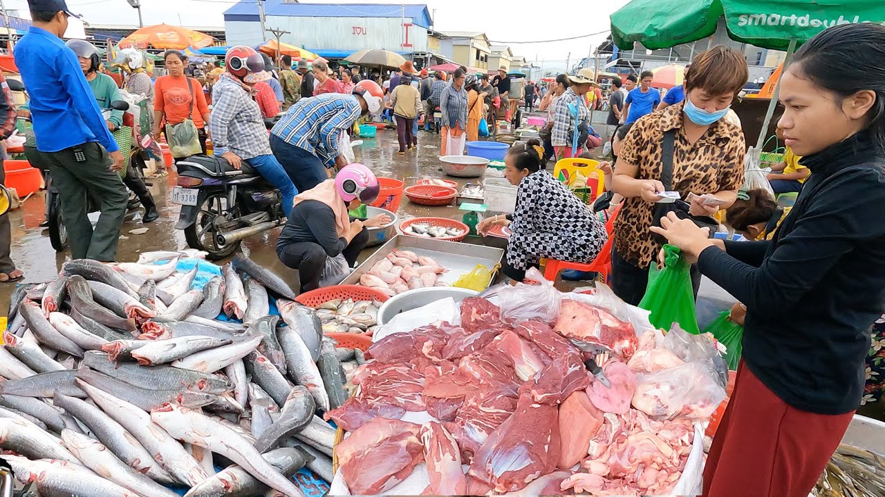 Morning Wholesale Fish Market Scenes - Plenty of Fresh Fish, Meat, & Seafood - Food Market Show