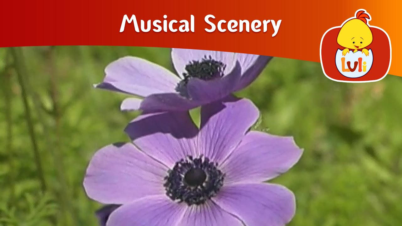 Musical Scenary | Cartoon for Children - Luli TV