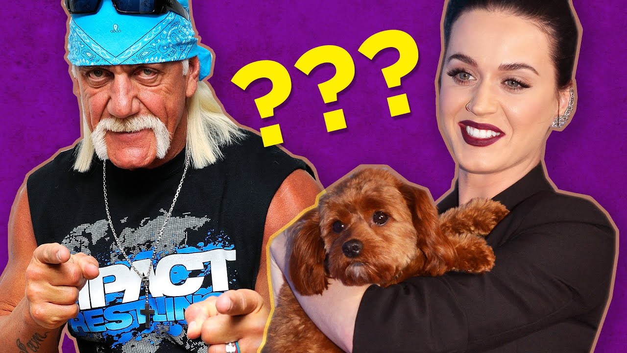 Can You Guess These Celebrity Birth Names?