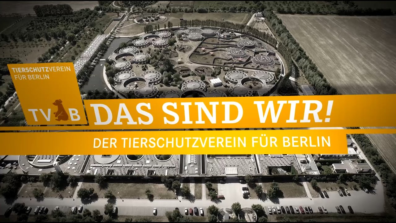 Das sind wir: der Tierschutzverein für Berlin & das Tierheim Berlin