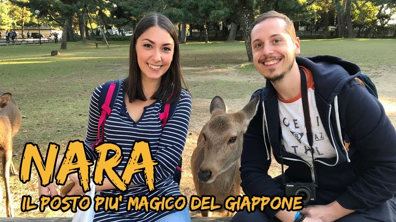 GIAPPONE giorno 8: NARA è il posto più magico che abbiamo visto!