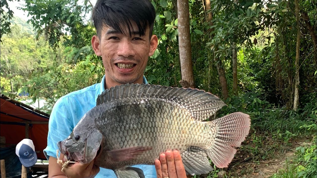 Chi tiết công thức mồi câu Rô Phi kiểu mới và cách làm trục thẻo, cân phao.