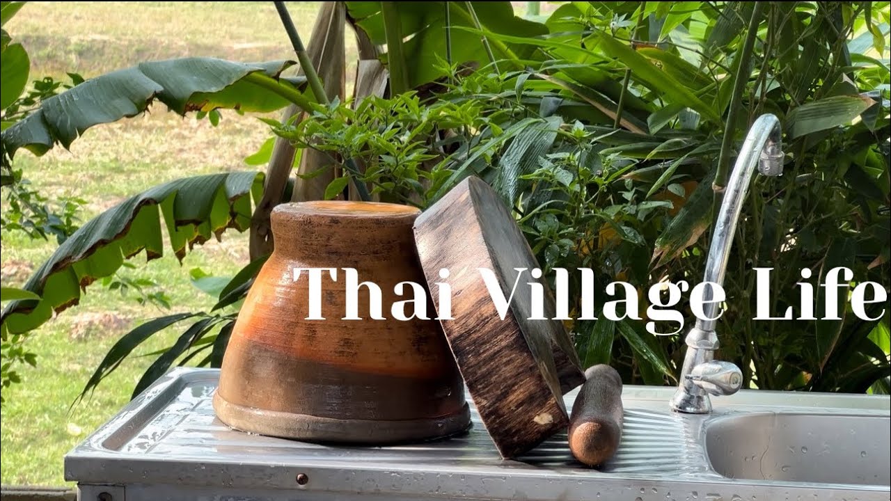 Daily Simple Routines In Thai Village || Rural Thailand