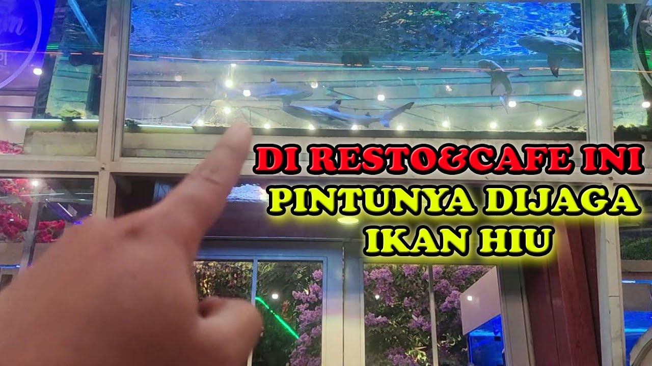 ADA IKAN HIU DI DALAM RESTO & CAFE ZAMZAM