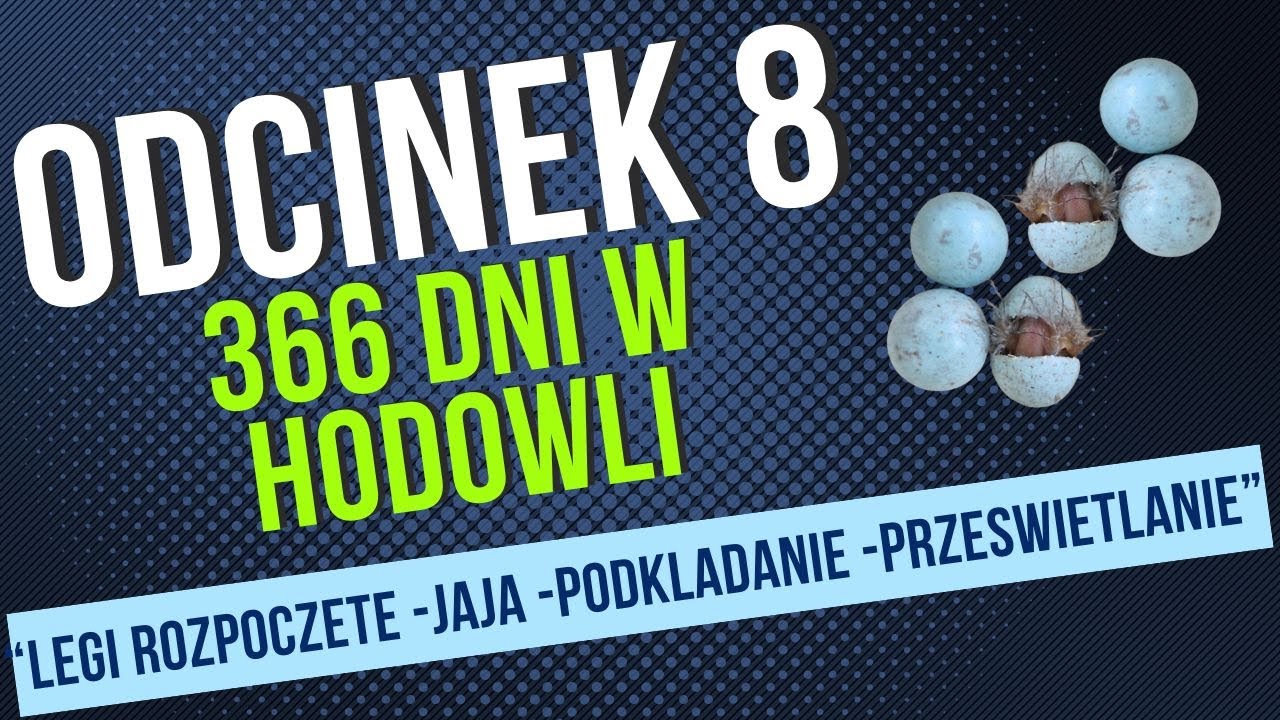 Odc.8.Fabisiak Mariusz Poradnik Hodowcy