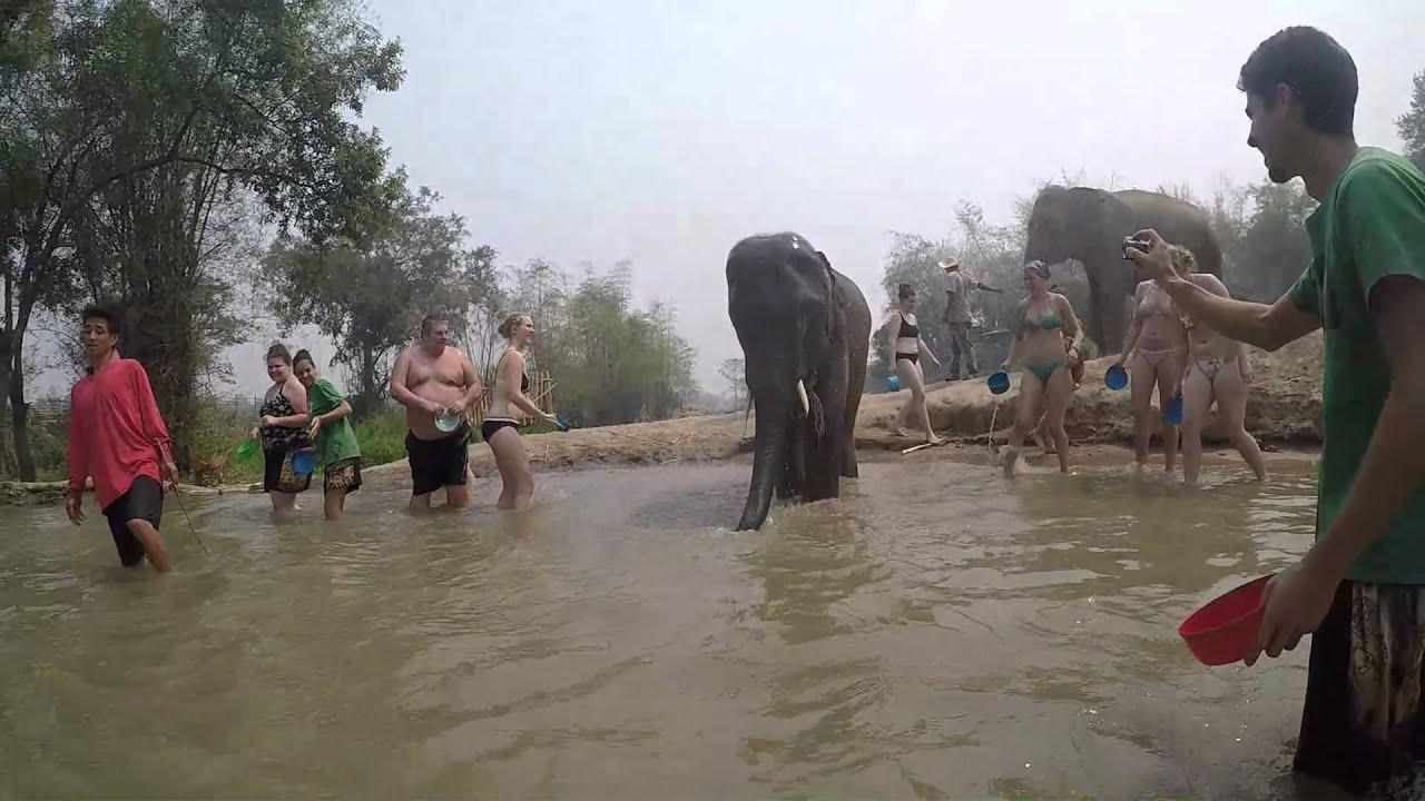 Splashing with elephants in Chiang mai