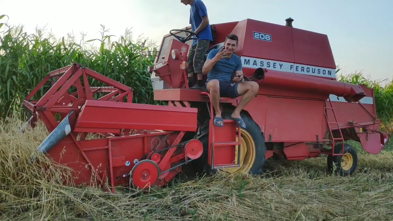 Молотым павшее комбайном Massey Ferguson 206