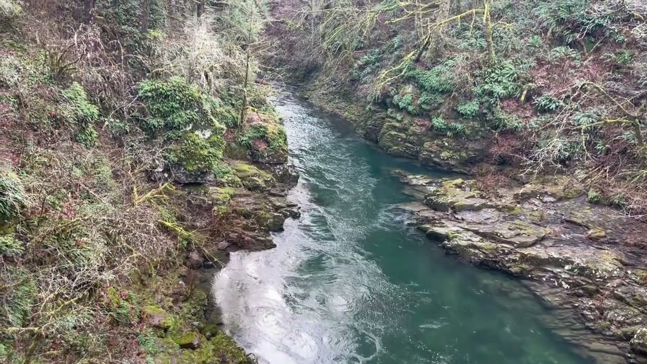 Moultan Falls Lewis River