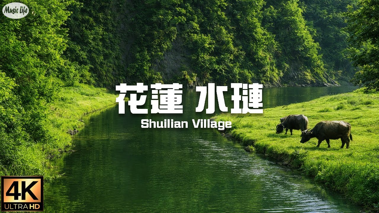 療癒秘境😽🐈 花蓮 水璉山海之間的世外桃源旅行 就是一段療癒的過程 A Hidden Paradise Between Mountains and Sea in Shuilian, Hualien.