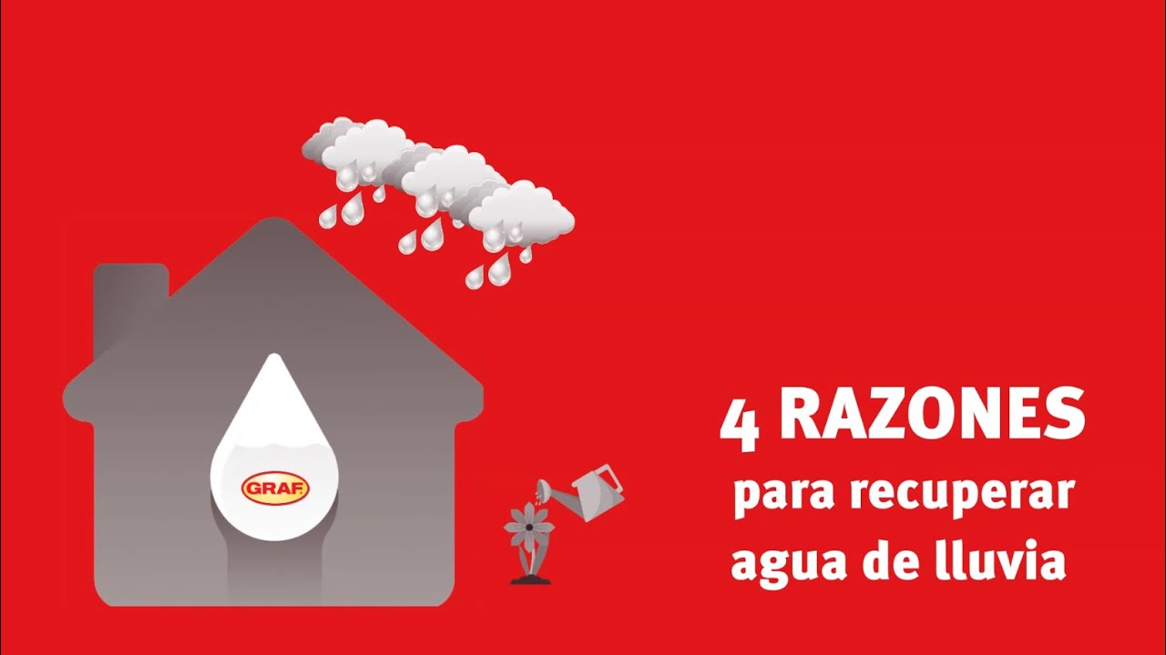 4 RAZONES PARA RECUPERAR AGUA DE LLUVIA