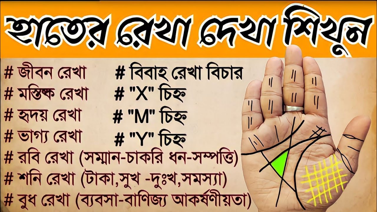 হাতের রেখা দেখা শিখুন। জীবন রেখা,মস্তিষ্ক রেখা, হৃদয় রেখা,ভাগ্য রেখা,বিবাহ রেখা ইত্যাদি #palmistry