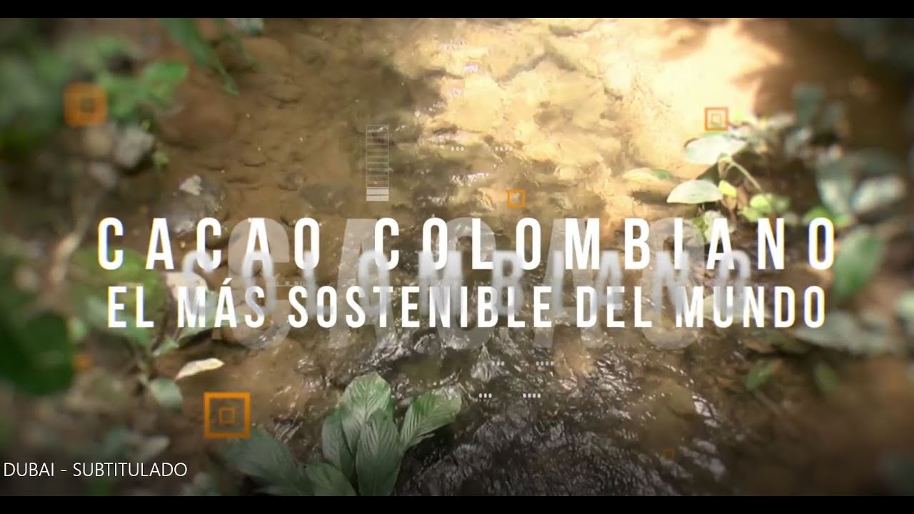 Cacao colombiano, el más sostenible del mundo