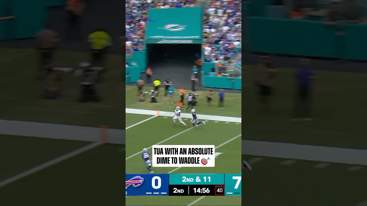 Tua connects DEEP with Jaylen Waddle for the Touchdown! #Phinsup