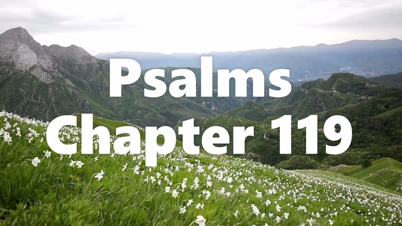 The Book of Psalms Chapter 119 - New King James Version (NKJV) - Audio Bible