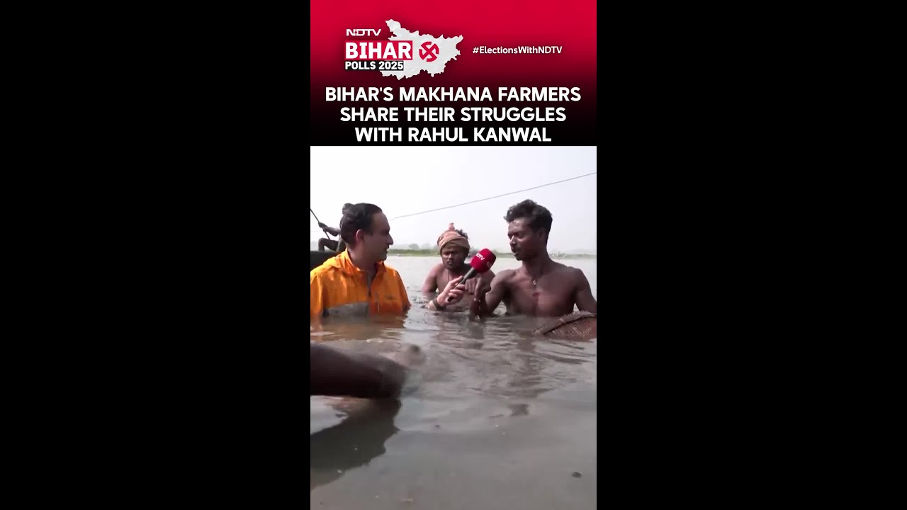 Bihar Election News | Bihar's Makhana Farmers Share Their Struggles With Rahul Kanwal