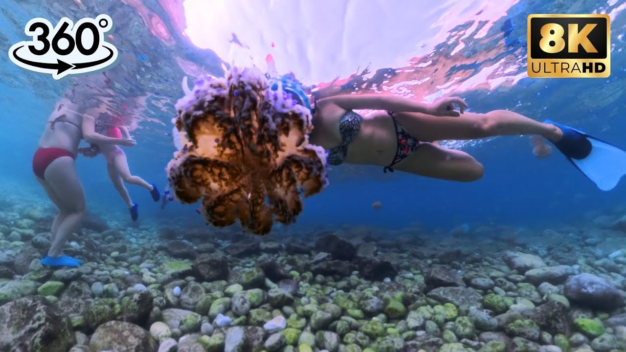 Freedive Exploration – Mask and Fins in the Heart of the Mediterranean