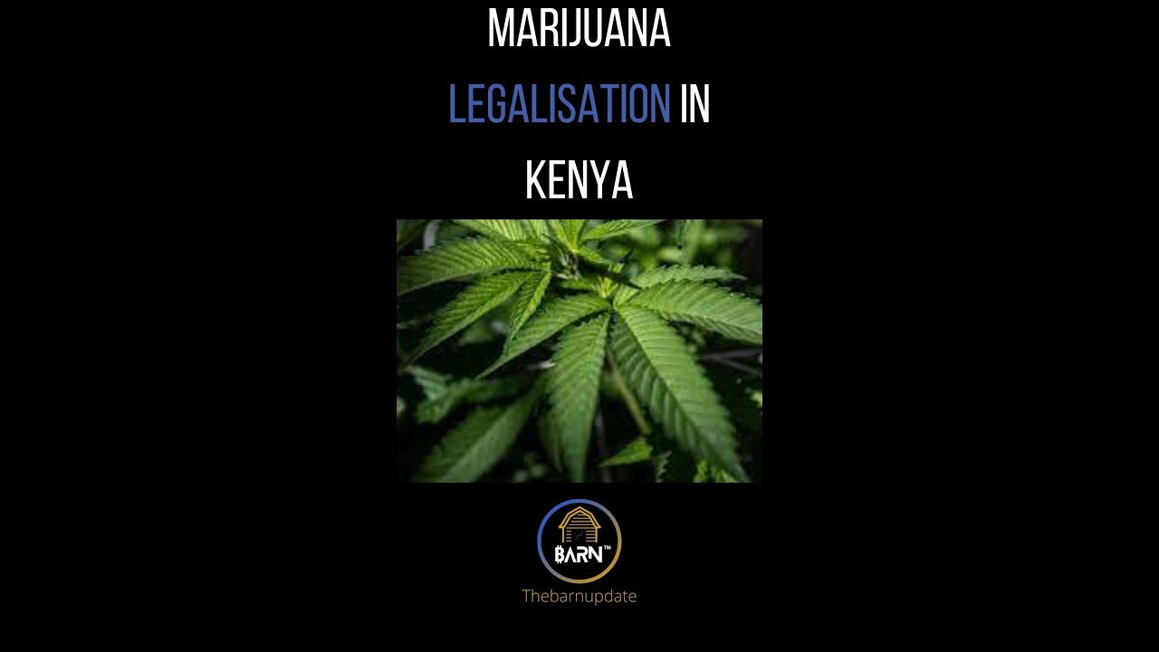 MARIJUANA LEGALIZATION IN KENYA!!!