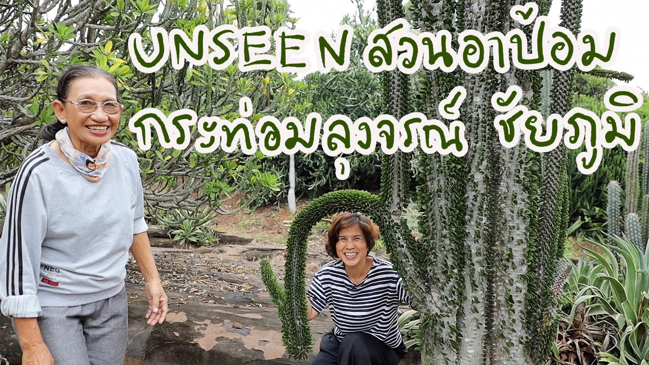 UNSEEN สวนแคคตัสของอาป้อม กระท่อมลุงจรณ์ ที่ชัยภูมิ | Cactus Journey EP.105