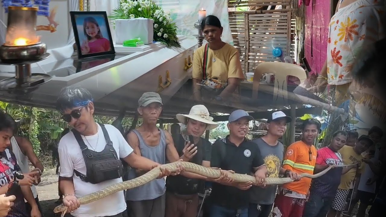 INUSENTENG BATA PATAY NANG MAKAGAT NGA BANAKON. #cobraprince
