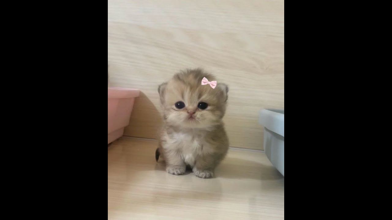 let me go