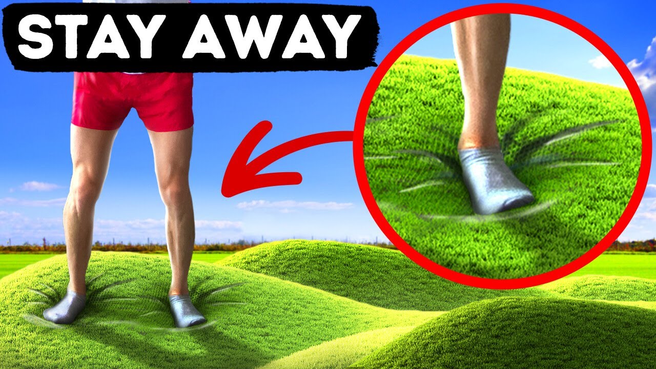 Bouncy Grass and Other Cool Things To Stay Away From