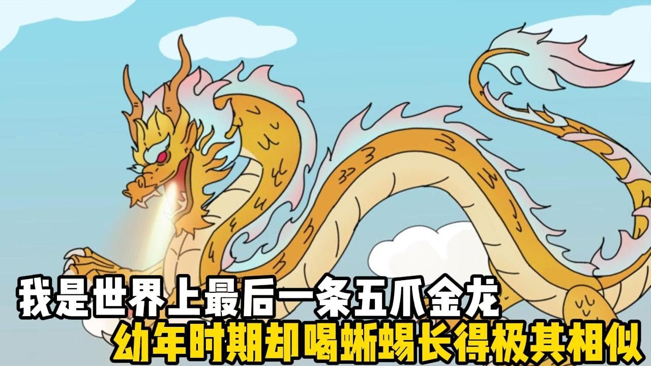 我是世界上最後一條五爪金龍，幼年時期卻喝蜥蜴長得極其相似，於是被人類當作稀有閃光#原創動畫 #沙雕動畫 #動畫