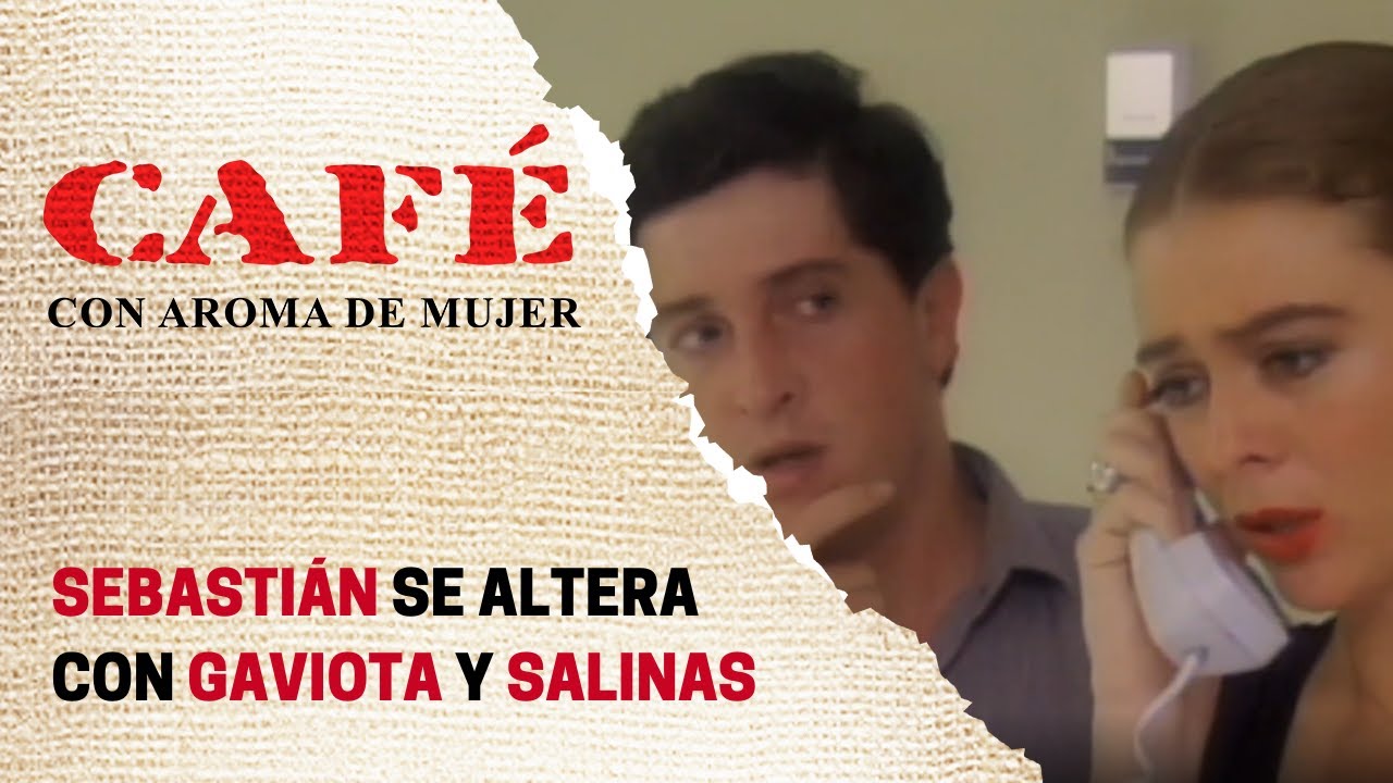 Sebastián piensa que Gaviota y Salinas estuvieron juntos | Café, con aroma de mujer
