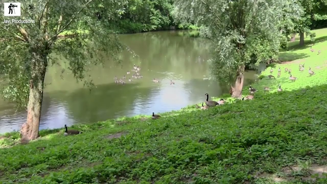 De Qeleenbeek