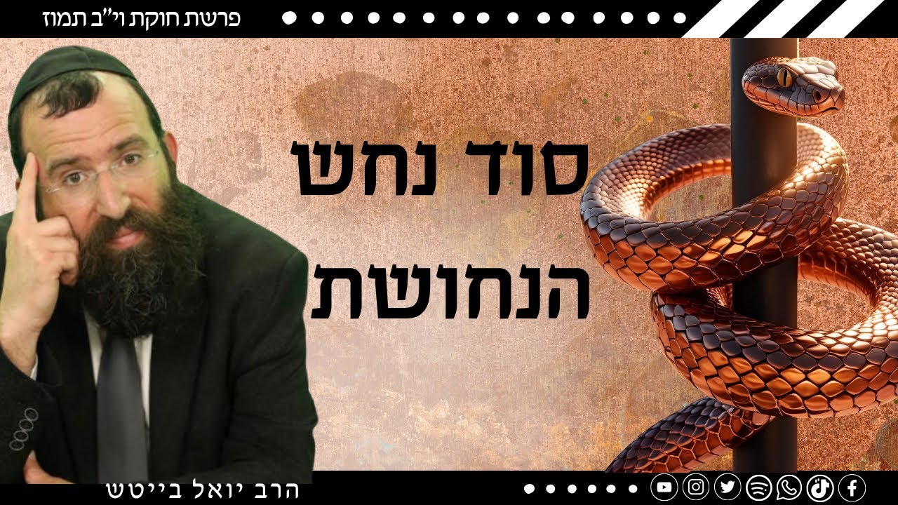 נחש הנחושת הופך כל בעיה לפתרון, אבל איך משתמשים בו? • הרב יואל בייטש | חוקת 