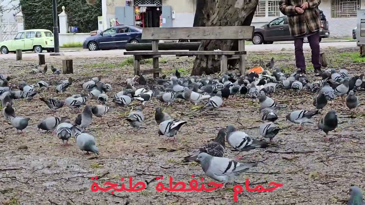 في اجواء مناخية استثنائية هناك من يوقف الى جانب حمام حنفطة بطنجة . شكرا له