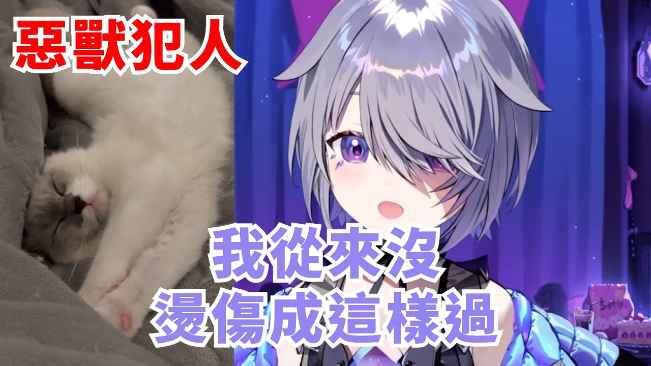Biboo向大家報告了一下惡獸做的好事【Koseki Bijou】【Hololive/ホロライブ】【vtuber中文字幕】