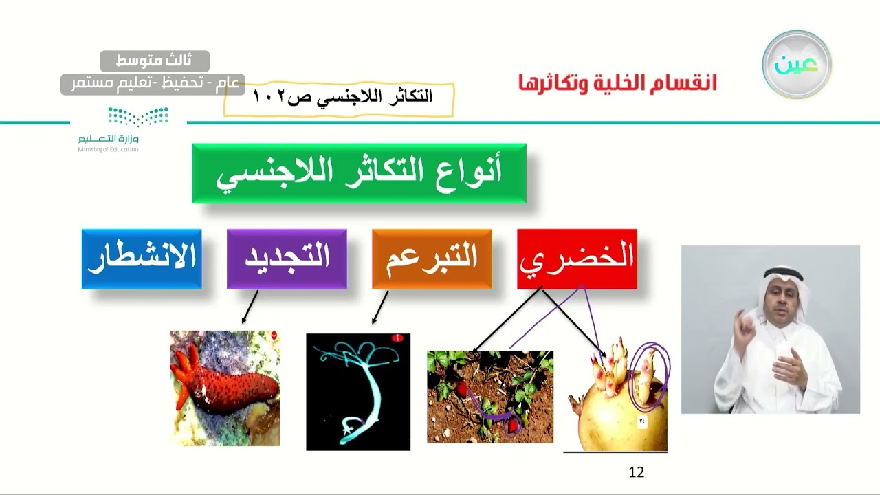 التكاثر الجنسي واللاجنسي - العلوم - ثالث متوسط