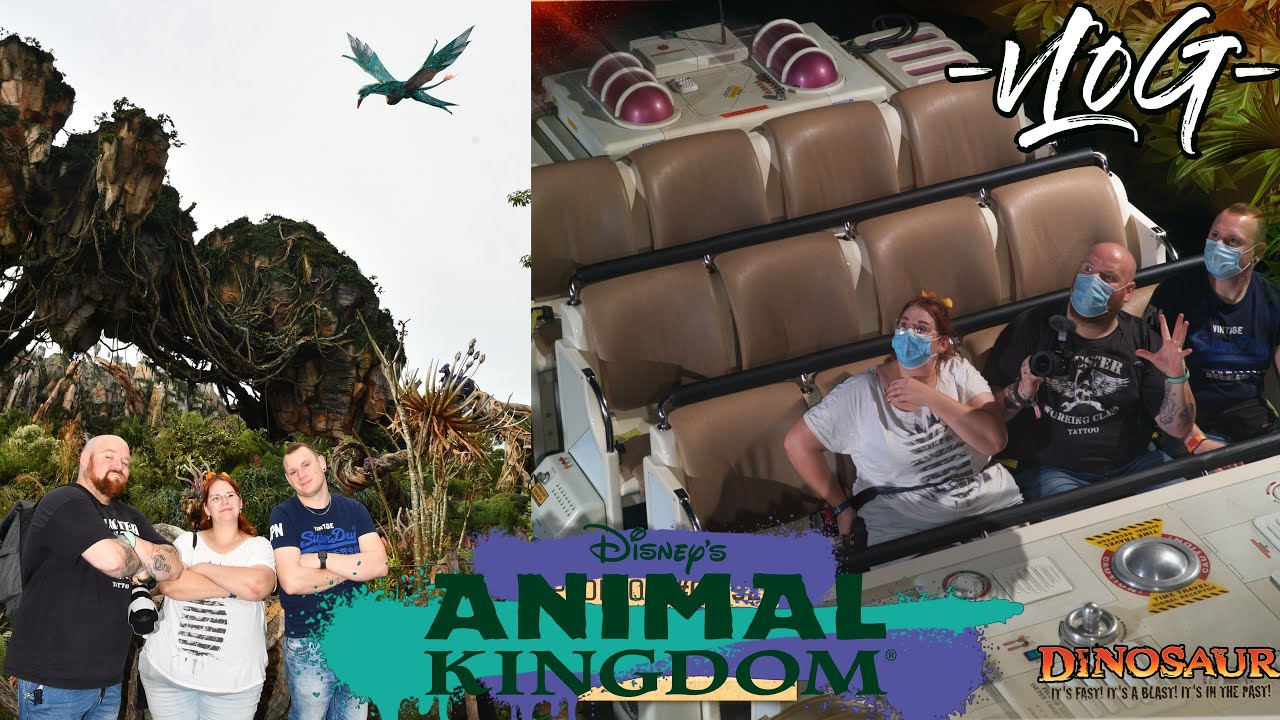 Disney und der untypischste Park - Walt Disney World & Disney's Animal Kingdom - Orlando 2021 VLOG