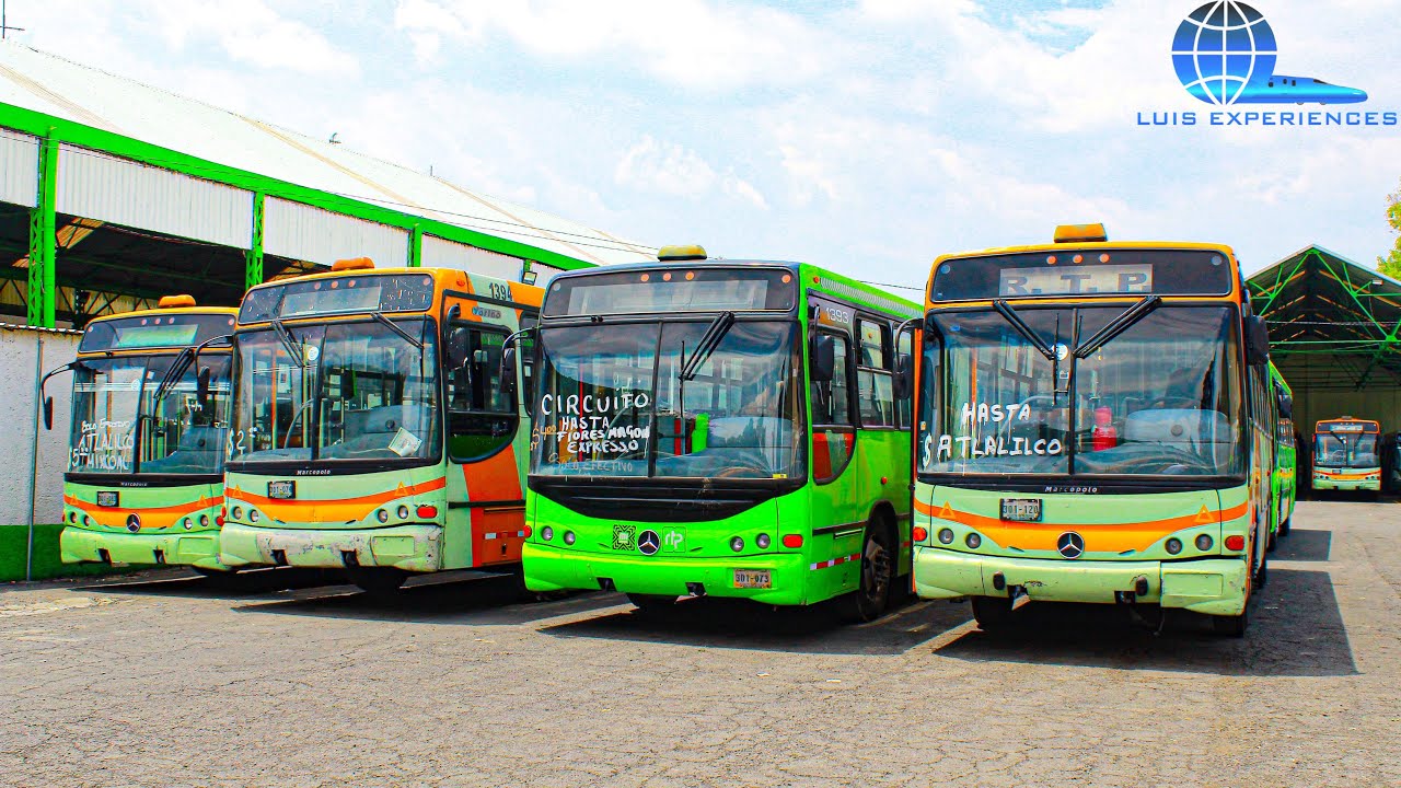 Visita de Autobuses Urbanos Red de Transporte de Pasajeros RTP Ciudad de México