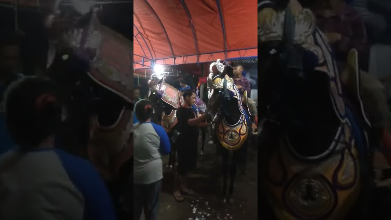 Duet kuda renggong BUNGSU tanji musik BSM lagu,oray welang@opidalvanza5294