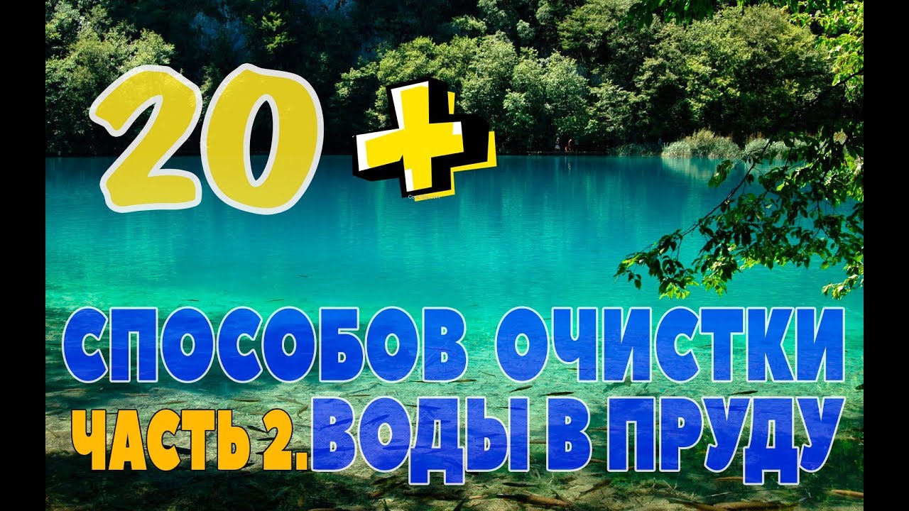 20+ СПОСОБОВ ОЧИСТКИ ВОДЫ В ПРУДУ. ЧАСТЬ 2 | Скиммер, барабанный фильтр, биофильтр, торф, перекись