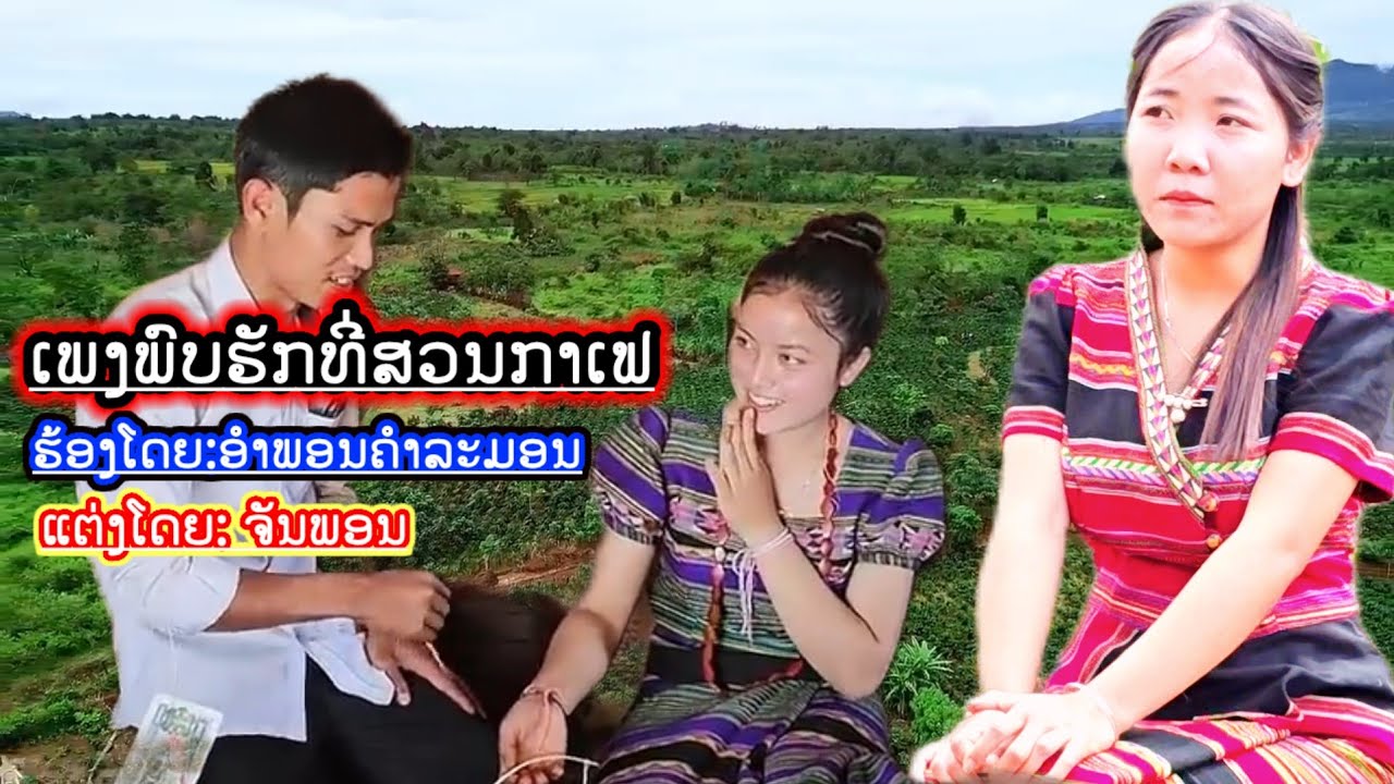 ผบฮักที่สวนกาแฟ | น้องอัมพร คำละมอญ | MV บอง❤️ตู่น...14 กุมภาพันธ์ ค.ศ. 2026