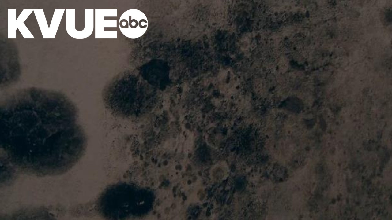 City of Austin looking at mold issues for renters