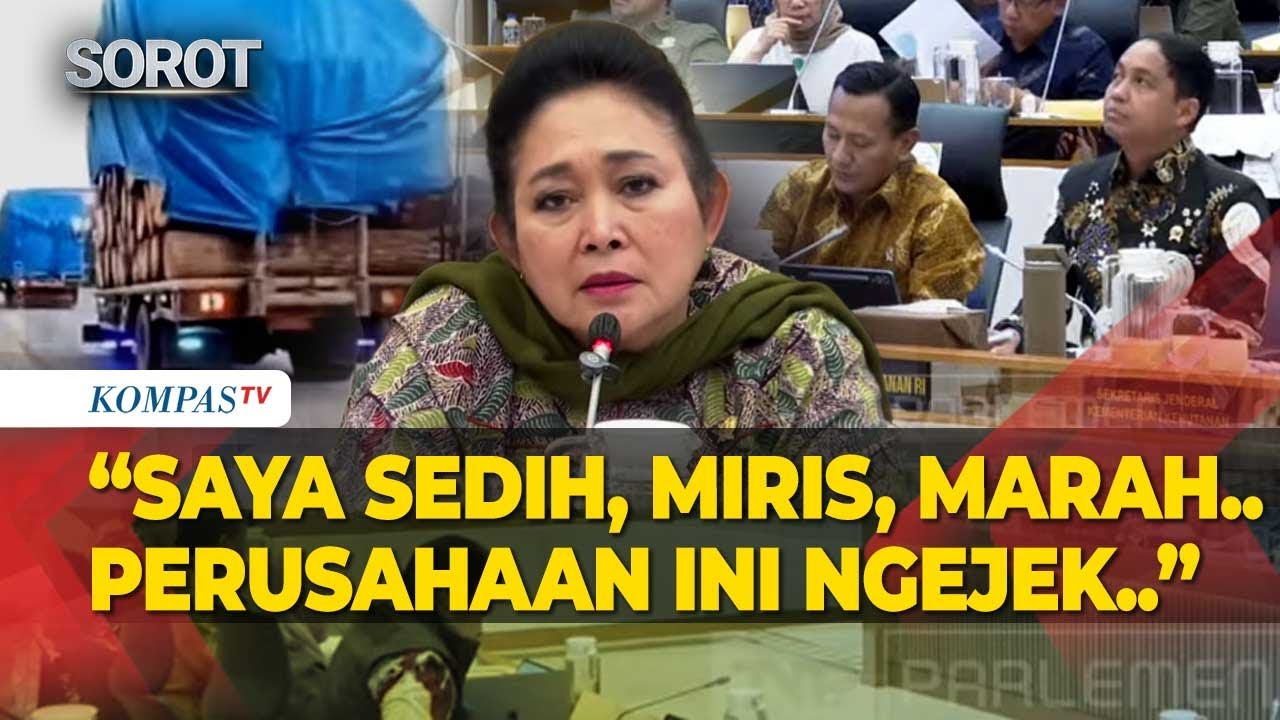 Marah! Titiek Soeharto Depan Menhut: 2 Hari Pasca Banjir, Truk Kayu Lewat Jalan, Perusahaan Ngejek!