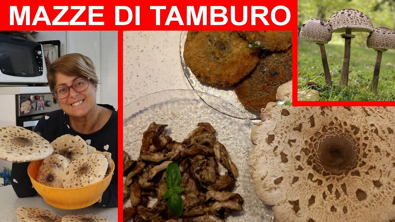 Cuciniamo le Mazze di Tamburo | Funghi deliziosi
