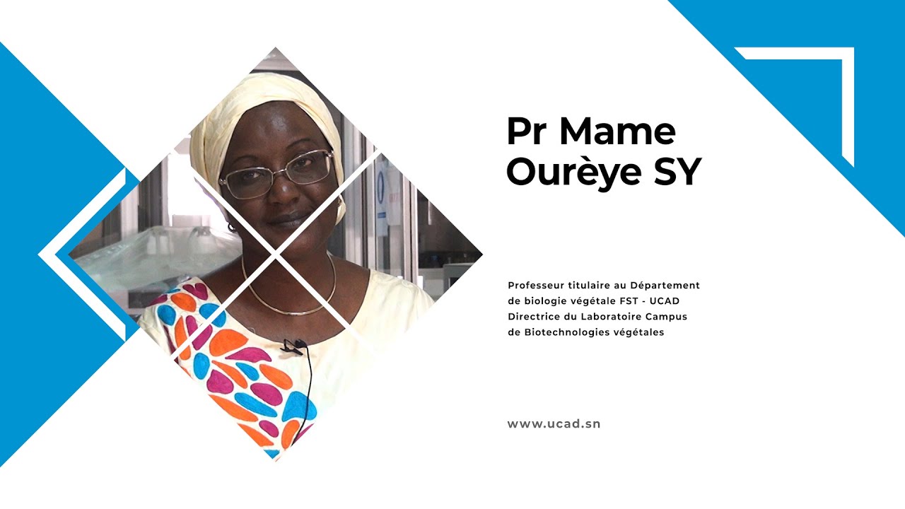 LUX MEA LEX n° 3 de mars 2020, Entretien avec Pr Mame O. SY, Directrice du Laboratoire Campus de...